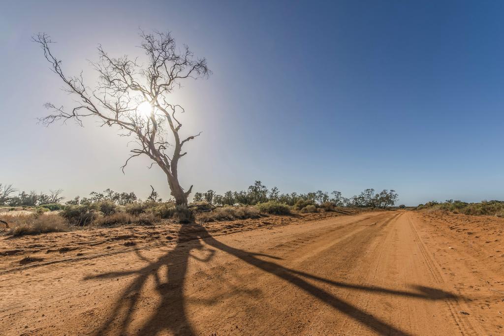 Mungo Shearers' Quartersヴィラ エクステリア 写真